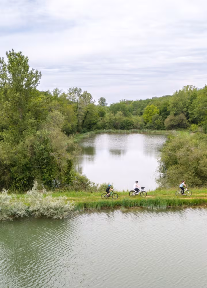 Vélos près de l'eau