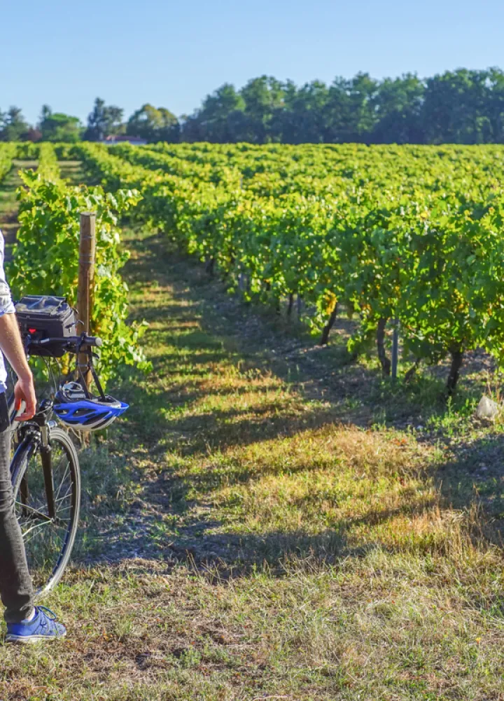 la_flow_velo_Vignes_Merpins