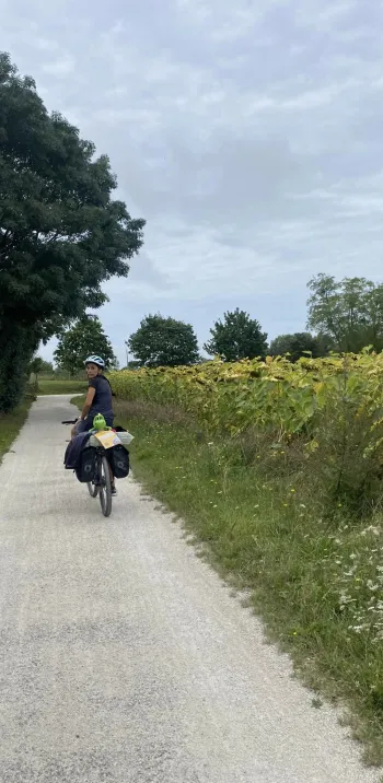 Chemin©Audrey.jpg