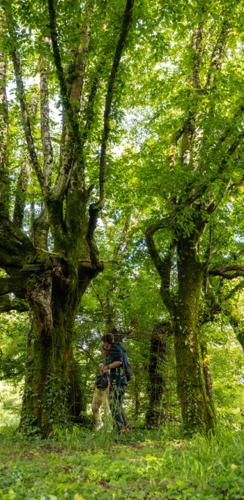 La Flow Velo_Excideuil_TTW Production (29).jpg