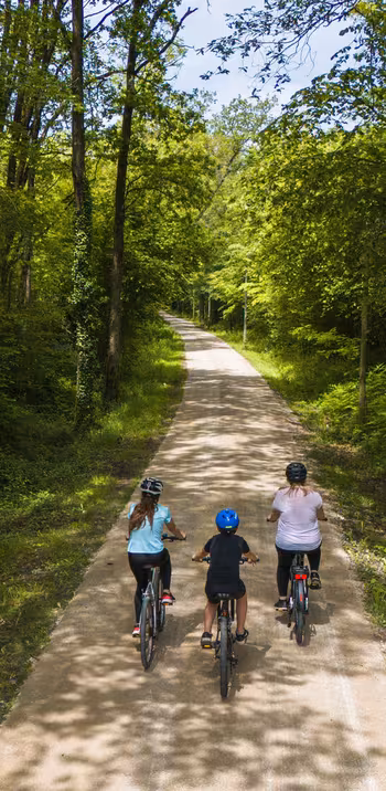 Vélo en nature