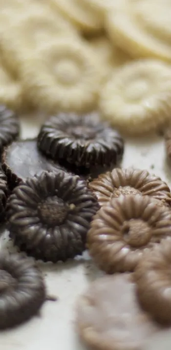 Chocolat Marguerite d'Angoulême