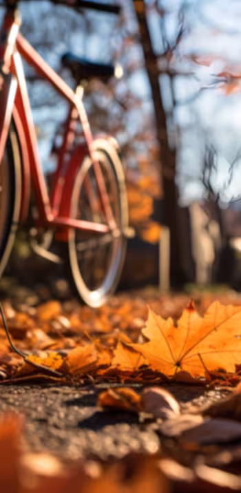 Temps fort Automne Flow velo