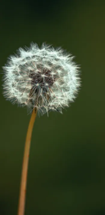La Flow Vélo au printemps