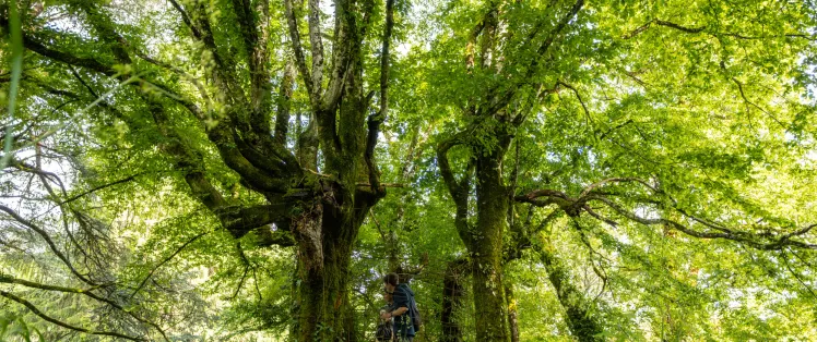 La Flow Velo_Excideuil_TTW Production (29).jpg