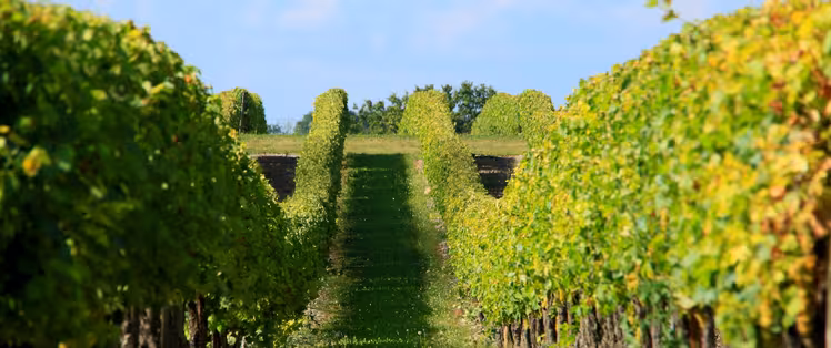Musée des savoir-faire du cognac – Les Distillateurs Culturels