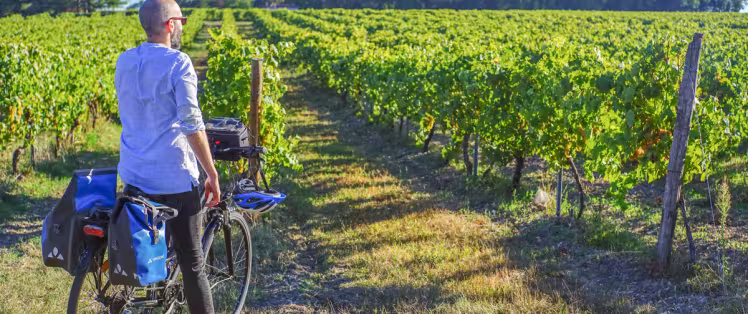 la_flow_velo_Vignes_Merpins
