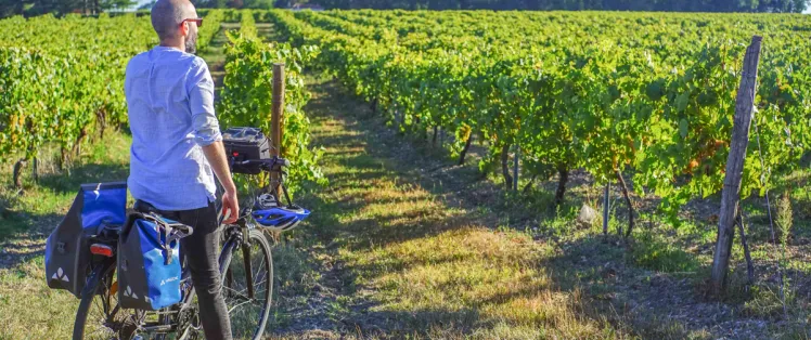 la_flow_velo_Vignes_Merpins