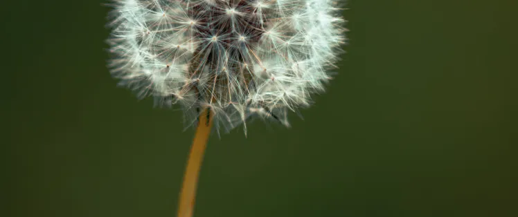 La Flow Vélo au printemps