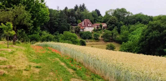 La Fontaine du Mas - Chambres d'hôtes