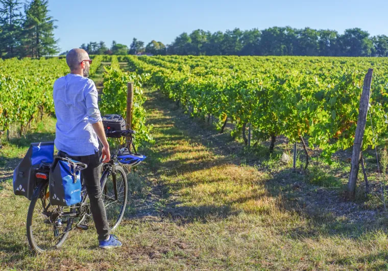 la_flow_velo_Vignes_Merpins