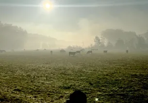 Les Meynichoux - Route du Fornial