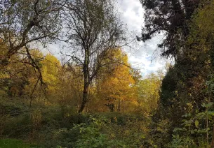 Le jardin d'Hélys-Oeuvre (St-Médard d'Excideuil)