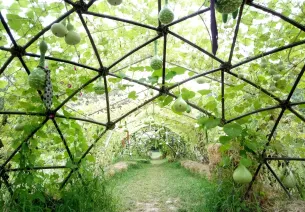 Les jardins respectueux (Châteaubernard)