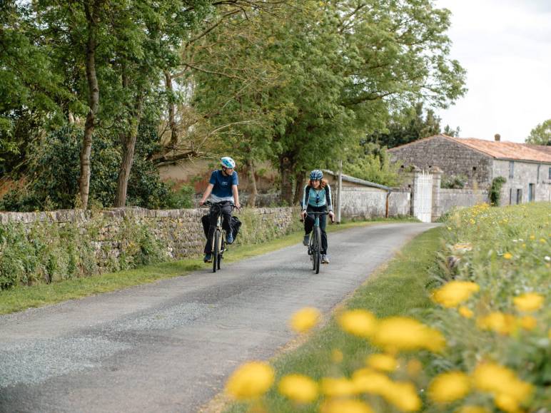 Location Vélo Charente à Châteaubernard (Cognac)