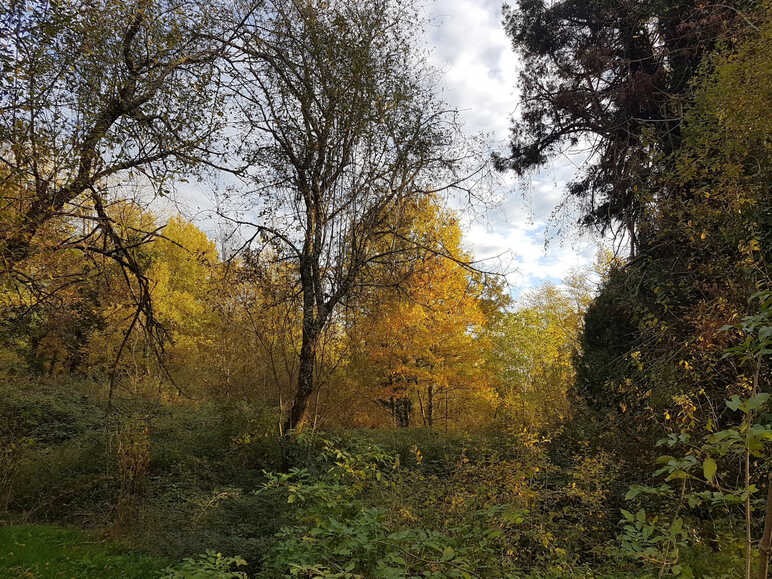 Le jardin d'Hélys-Oeuvre (St-Médard d'Excideuil)