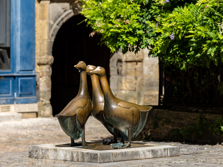 Place des oies au coeur de la cité médiévale de Sarlat